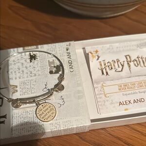 Alex and Ani Harry Potter Silver Bangle